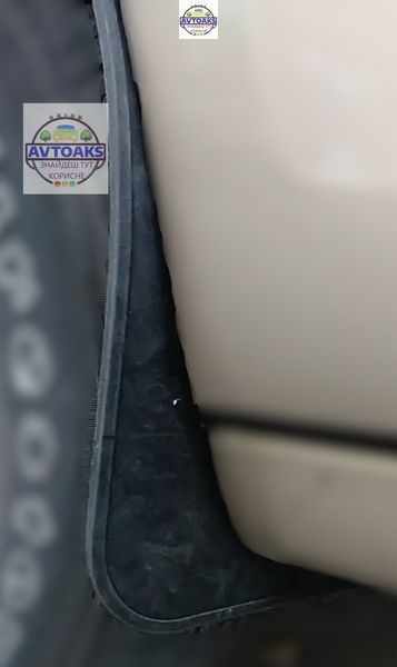 Купити Бризковики Volkswagen 34х28см 2 шт 1199996687 в інтернет-магазині Avtoaks